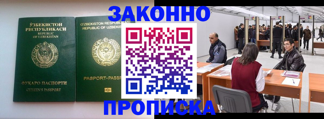 временная регистрация поиск в Шилке